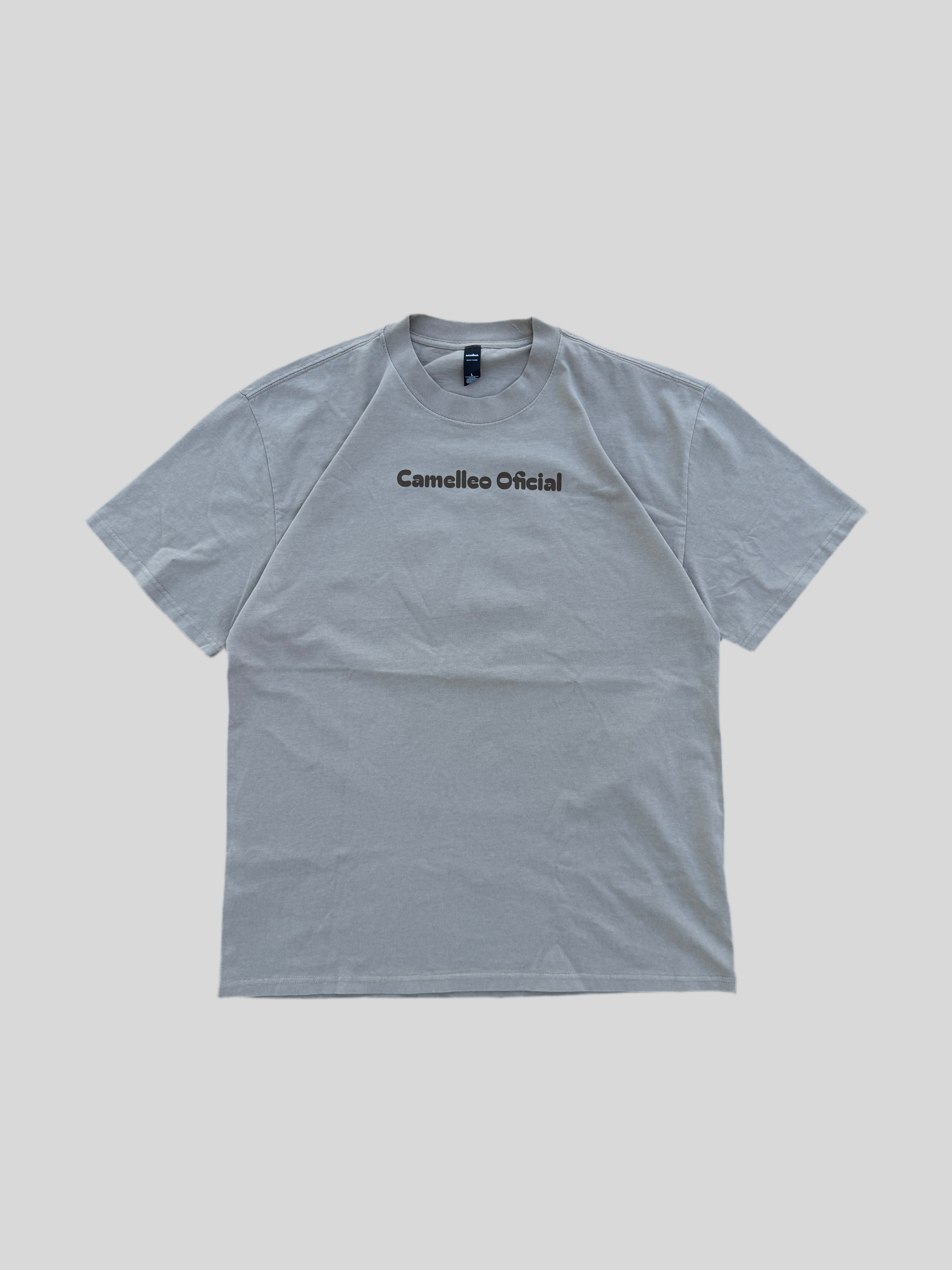 CAMELLEO PROJECT HUSTLERS TEE (EUCALYPTUS)